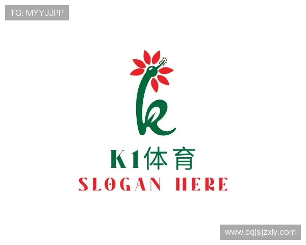 介绍K1体育